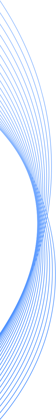 Custom Web Development banner shape