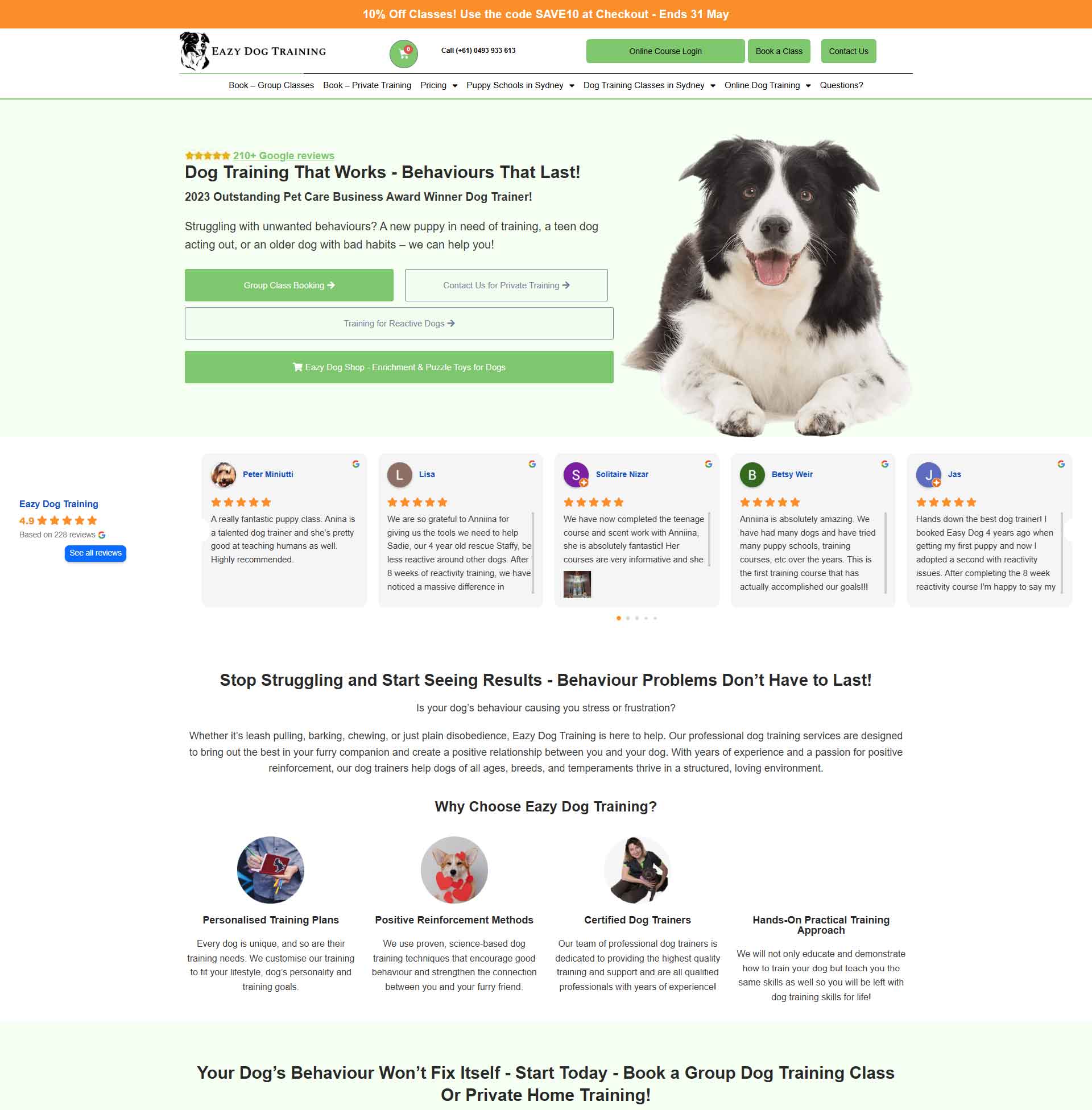 Eazy Dog Training